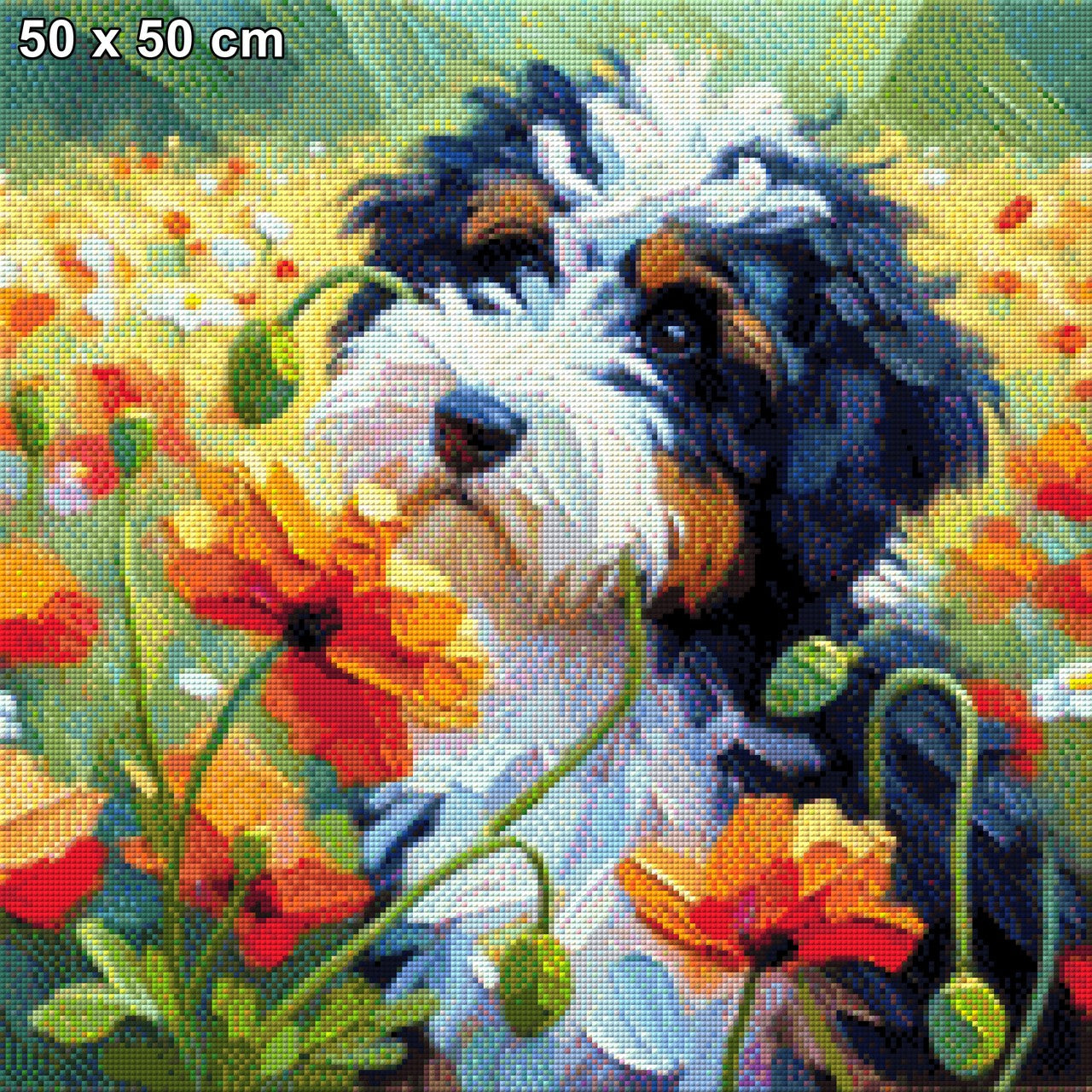 Timmy der Hund im Blumenfeld - Diamond Painting