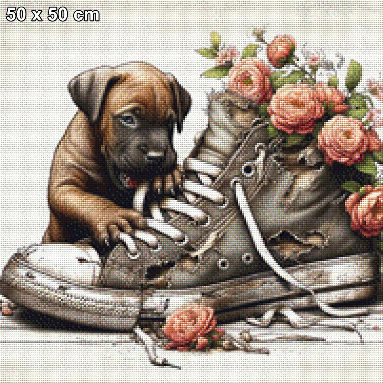 Timmy und sein Schuh - Diamond Painting