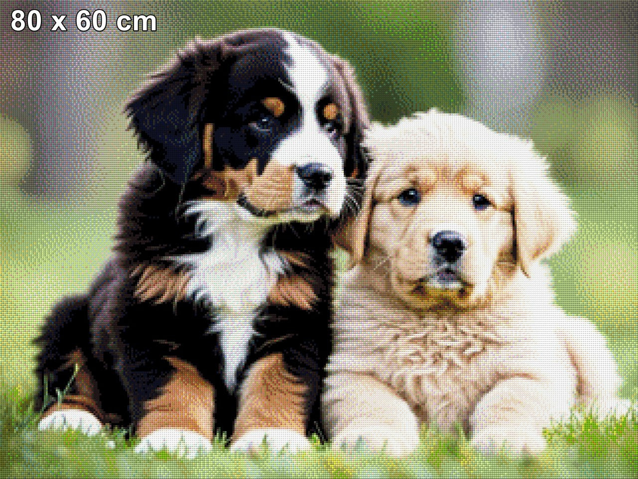 Benny & Luna, Hundeportrait - Diamond Painting