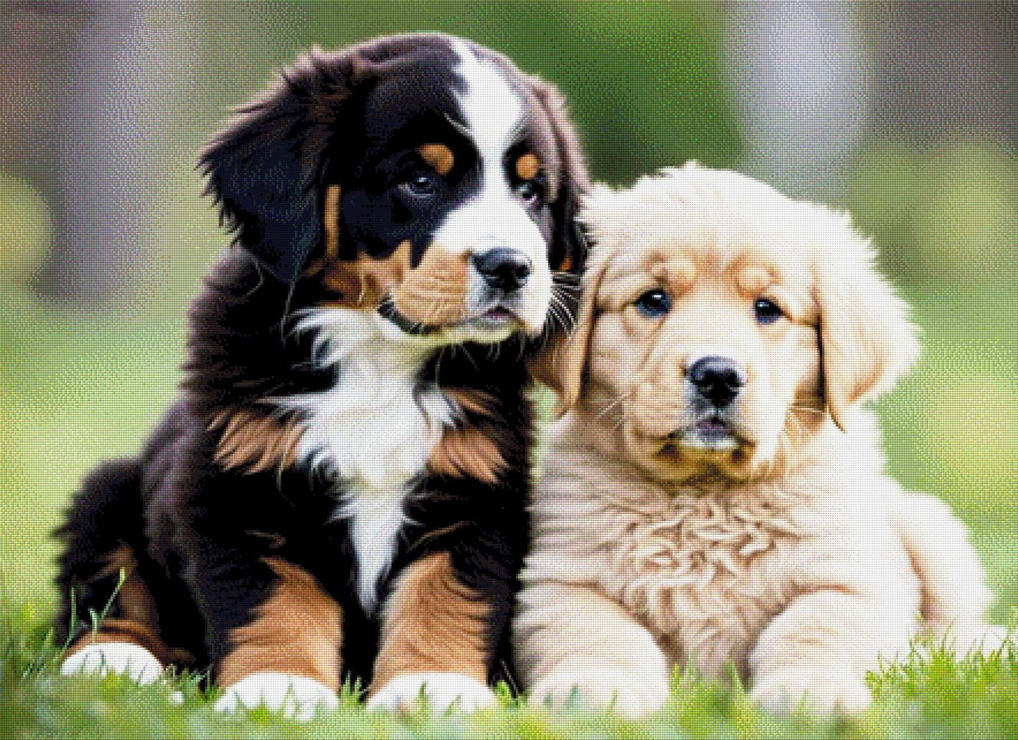 Benny & Luna, Hundeportrait - Diamond Painting