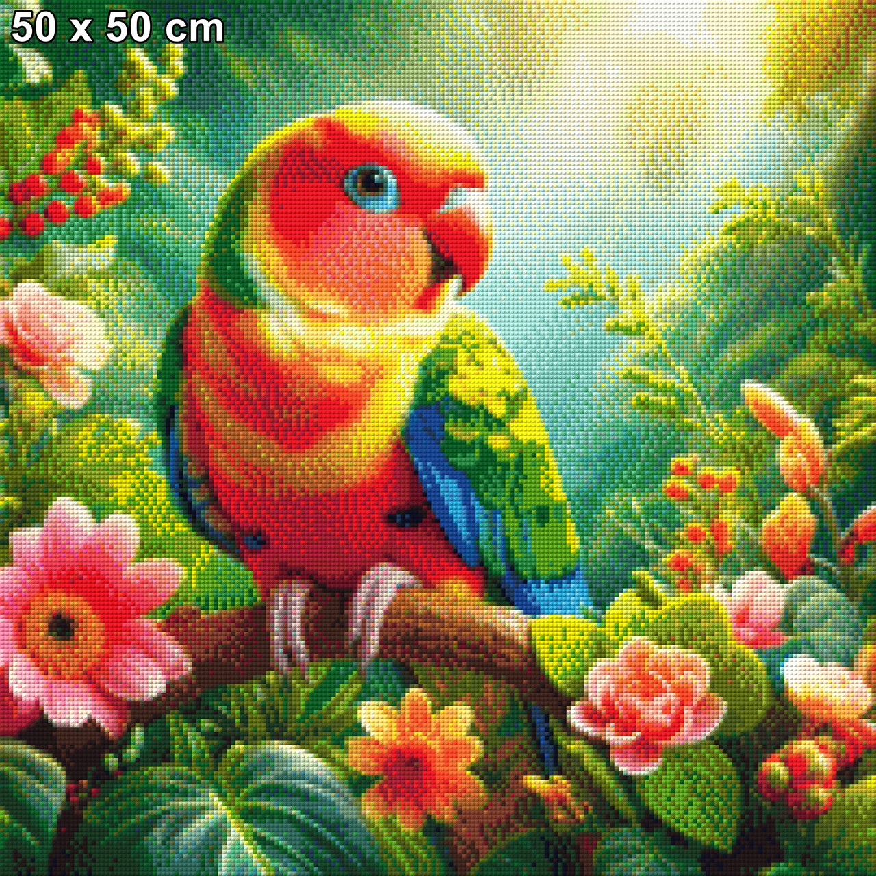 Farbenfroher Lukas - Diamond Painting