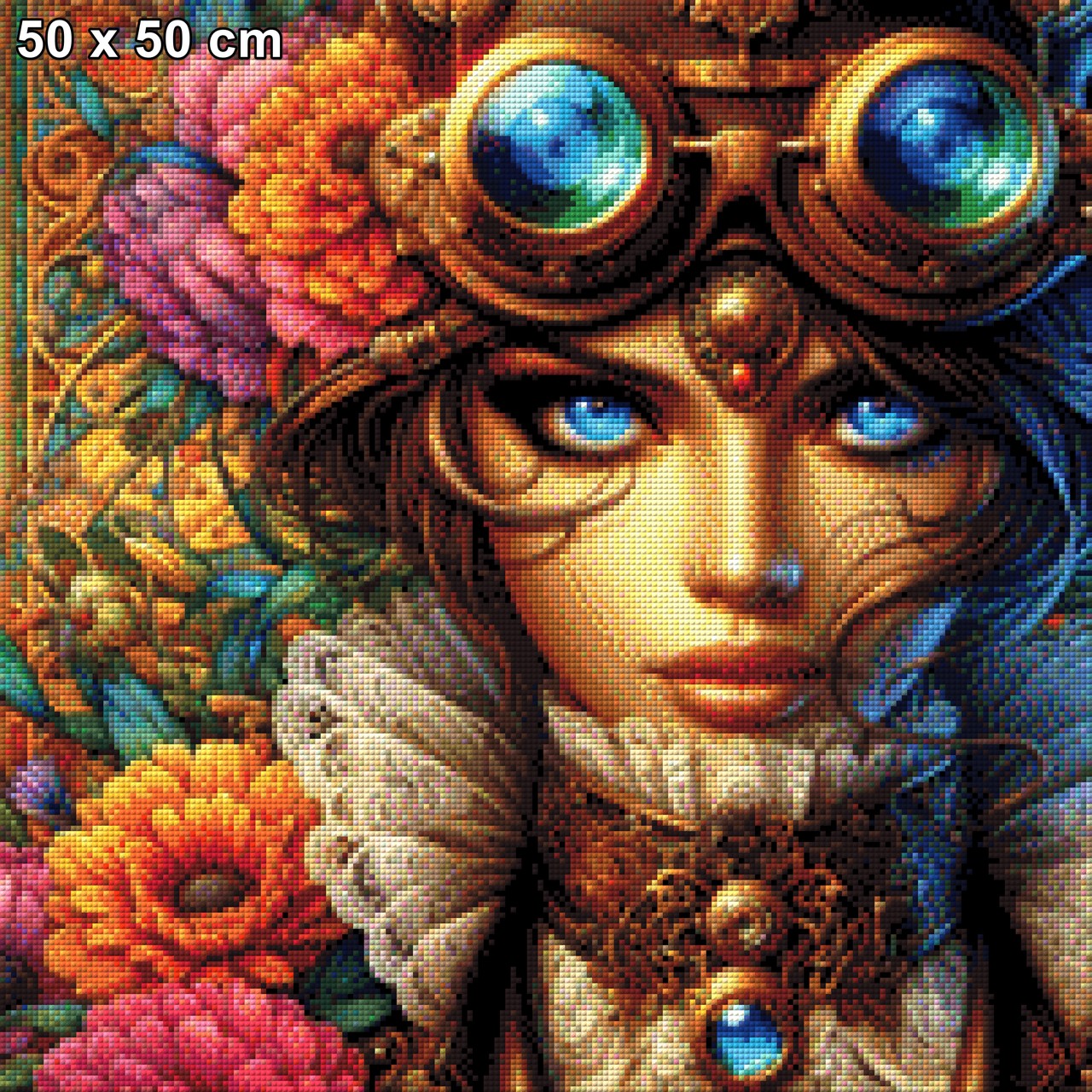 Clara das Steampunk Mädchen - Diamond Painting