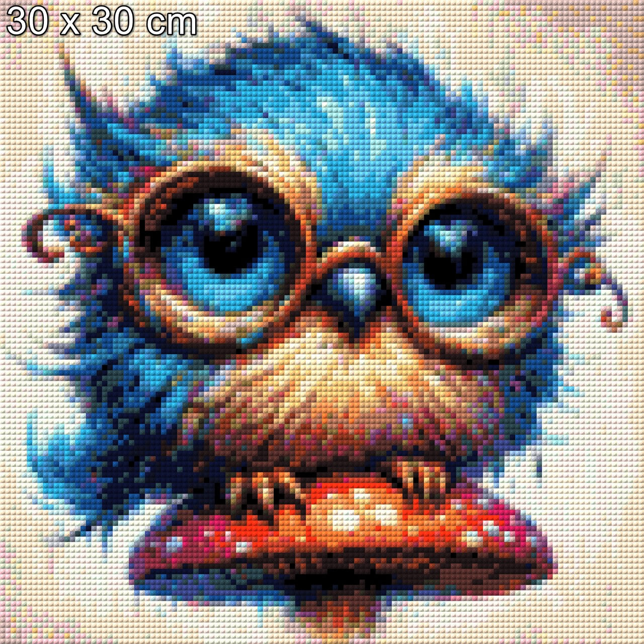 Pilzkauz - Diamond Painting