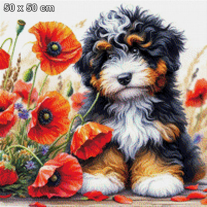 Hundewelpe Cookie im Mohnfeld - Diamond Painting