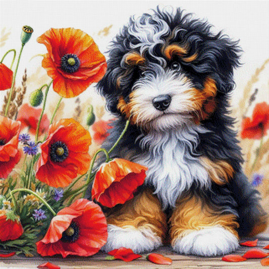 Hundewelpe Cookie im Mohnfeld - Diamond Painting