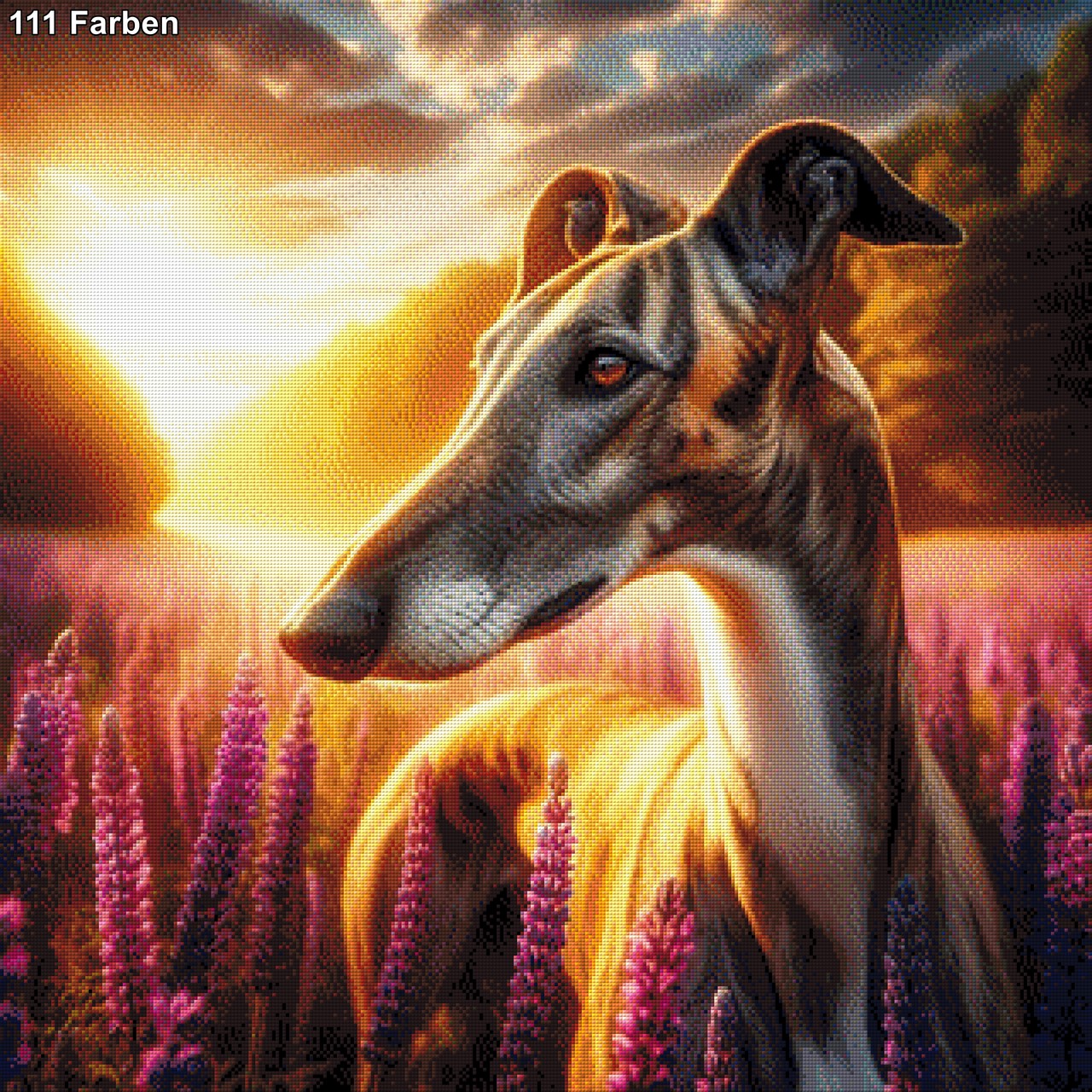 Galgo Espaniol, stolzer Hund - Diamond Painting