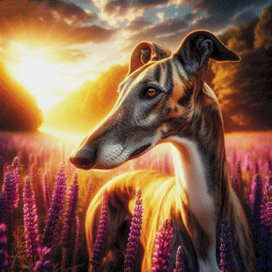 Galgo Espaniol, stolzer Hund - Diamond Painting