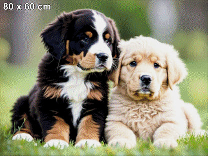 Benny & Luna, Hundeportrait - Diamond Painting