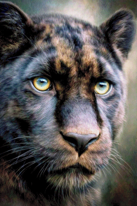 Diamond Painting Panther Tiger Schwarz Braun