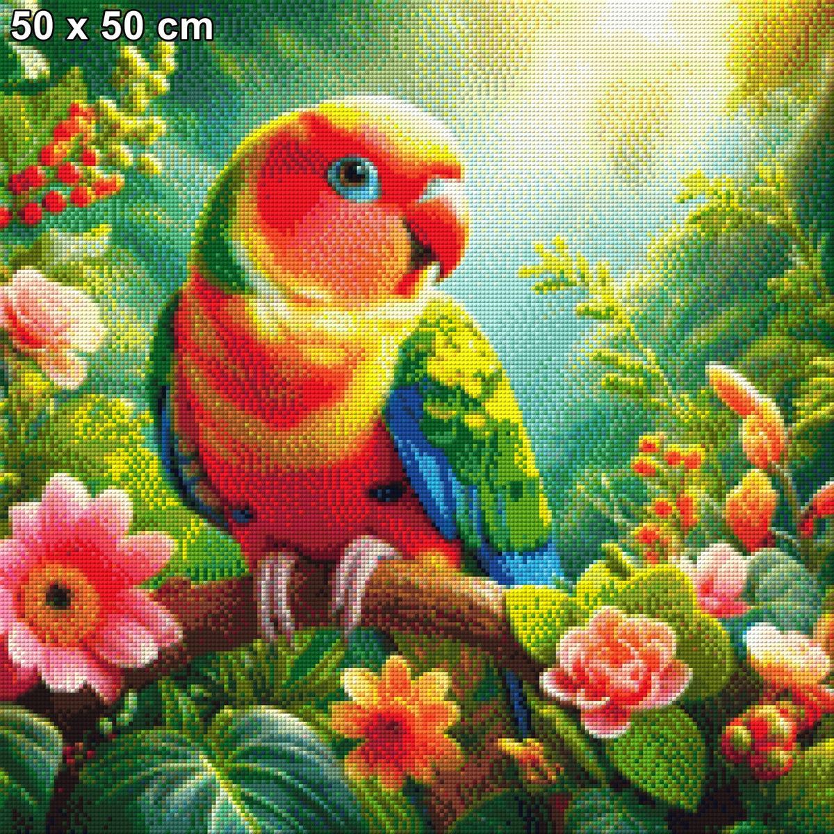 Farbenfroher Lukas - Diamond Painting