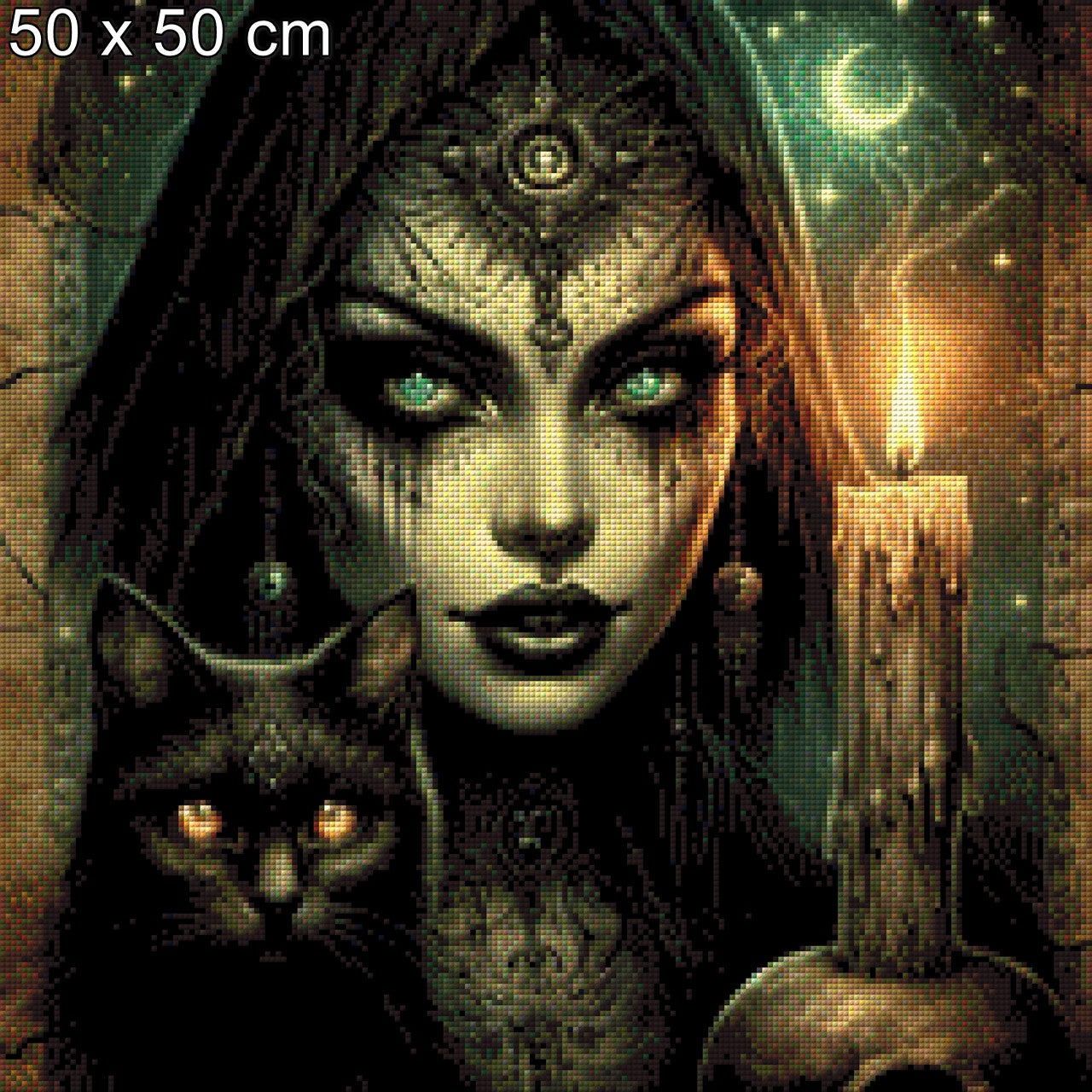Morgana & Nightpaw - Diamond Painting