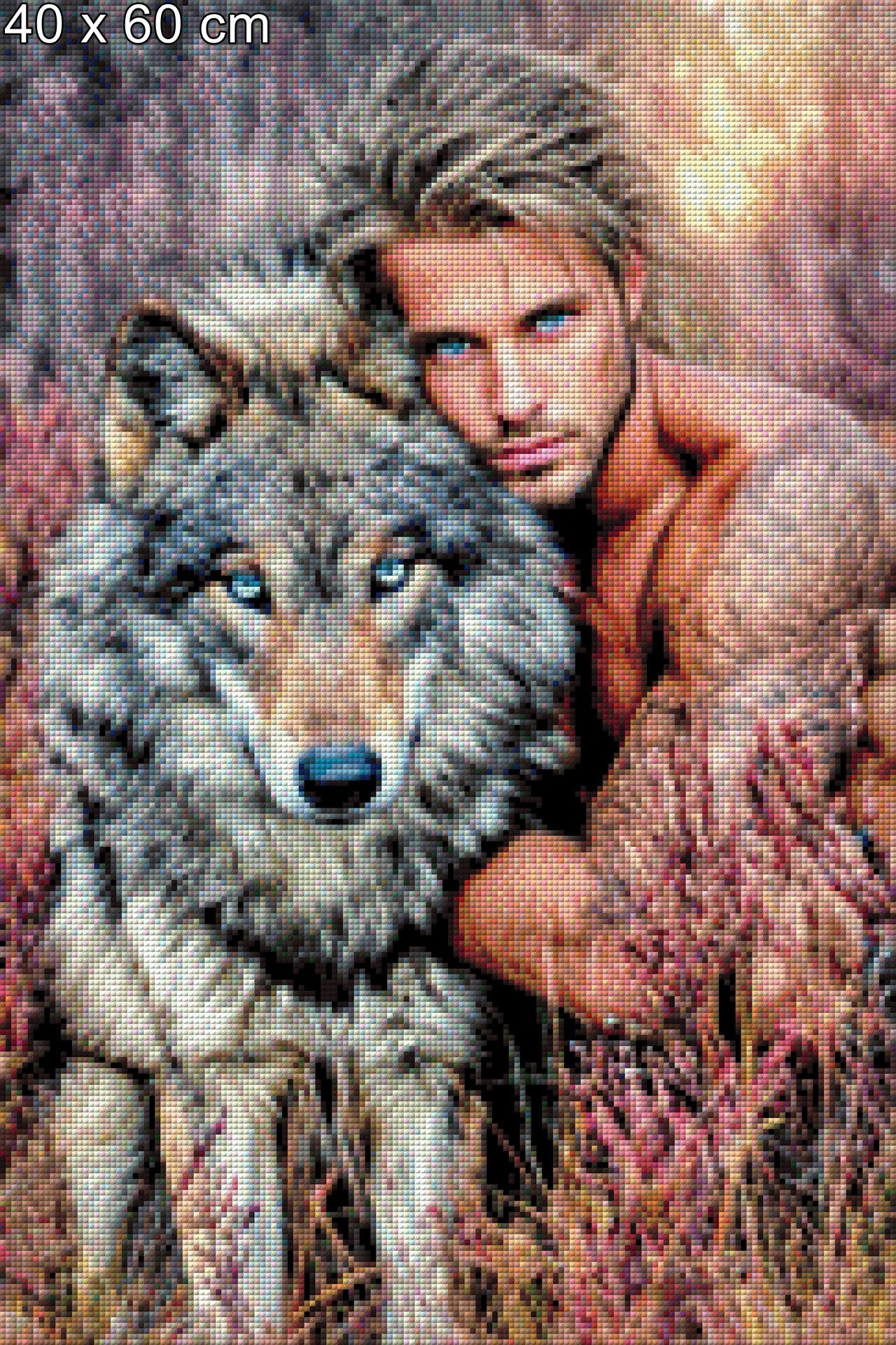 Diamond Painting Mann Wolf Tierliebe Gras