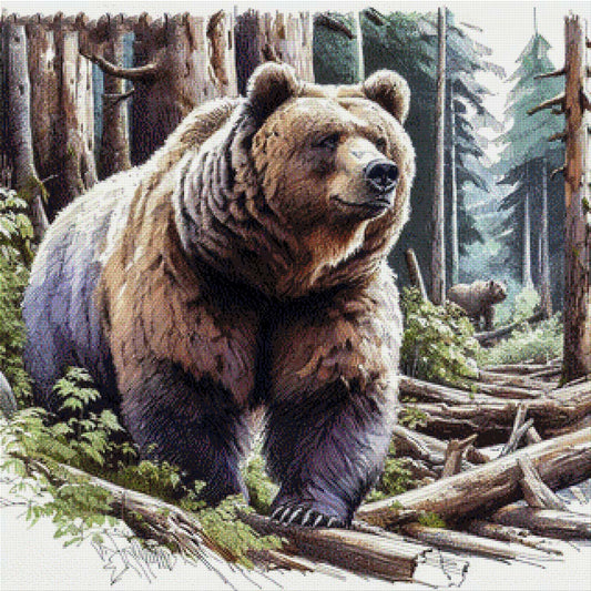 Waldtatze, Bär im Wald - Diamond Painting
